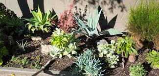 Landscaping To Protect Your Foundation