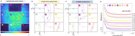 single shot polarimetry of vector beams