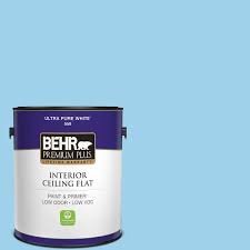 Blue Ceiling Flat Interior Paint