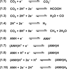 Aromatic N Heterocycles