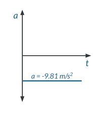 Free Fall Motion Explanation Review