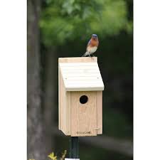 Woodlink Bluebird Bird House Bb1 The
