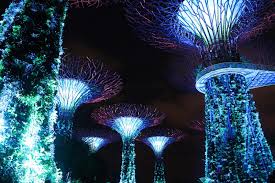 Gardens By The Bay Singapore The