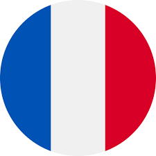 France Free Flags Icons