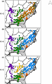 the population genetics of speciation