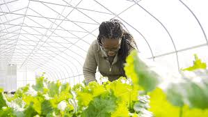 Grant Aimed At Empowering Black Farmers