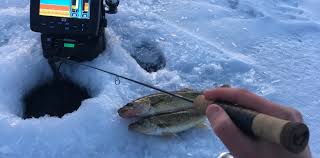 Jigging Tactics For First Ice Walleyes