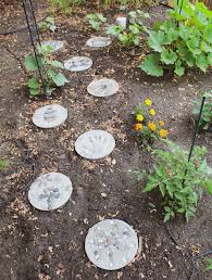 Diy Stepping Stones Transform Your