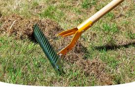 How To Revive A Lawn After Scarifying