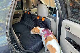 The 10 Best Dog Seat Covers Of 2024