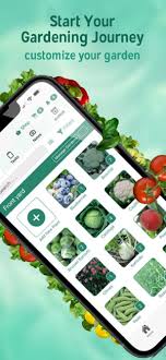 Seed To Spoon Growing Food On The App