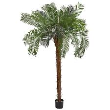 In Cycas Palm Artificial Tree
