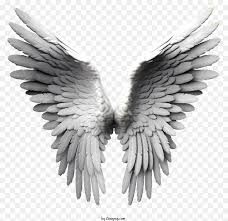 Symbolic Angel Wing With Powerful