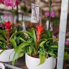 Miami Florida Hardware S