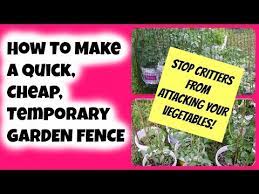 Temporary Garden Fence To Stop Critters