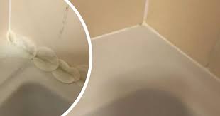 Remove Mould From Bathroom Grout
