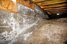 Crawlspace Mold Removal Services In New