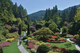 4 Gorgeous Gardens In The Pacific