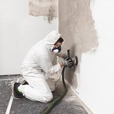 Knowhow Work Steps For Mould Remediation