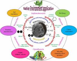 Remediation Of Antibiotic Pollutants