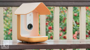 Outdoor Smart Home Devices For 2024