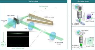 laser scanning biological microscopy