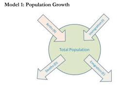 Population Growth Bio 1 H Flashcards