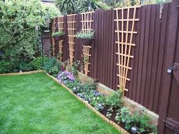 Fence Finished Backyard Garden Design
