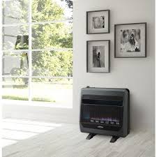 Bluegrass Living 30 000 Btu Natural Gas Vent Free Blue Flame Gas Space Heater With Blower And Base Feet Grey