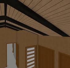 exposed roof rafters w t g ceiling