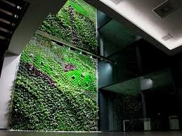 Largest Vertical Garden Cleans Indoor