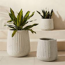 Planter Bowls Ceramic Plant Pots Cb2