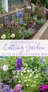 Cutting Garden In My Raised Flower Bed