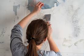 How To Remove Wallpaper 3 Best
