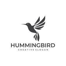 Hummingbird Vector Art Icons And