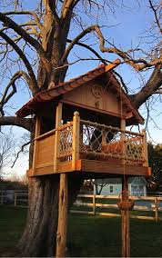 Tree House Plans