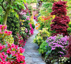 Spring Garden Pathway Colors Of Nature