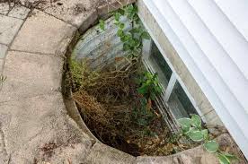 The Basement Waterproofing Contractor