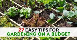 27 Dirt Tips For Gardening On A