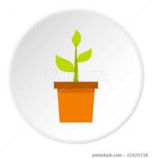 Plant In Clay Pot Icon Circle Stock