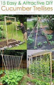 15 Easy Diy Cucumber Trellis Ideas A