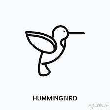 Hummingbird Icon Vector Hummingbird