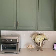 Rosemary Sw 6187 Green Paint Color