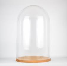 Large Glass Dome Cover Cloche Display