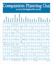 Companion Planting Chart 9 Free