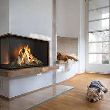 Gas Fireplace Planika Contemporary