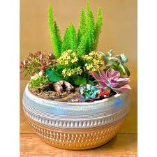 Fern Creek Outdoor Succulent Planters