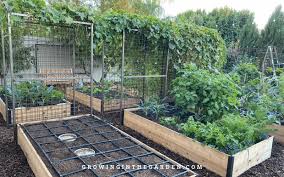 Raised Bed Garden Design Tips Growing