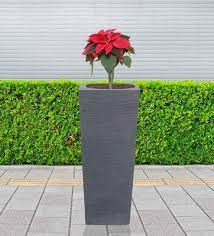 Plant Pots Buy Flowers Pot Upto 70