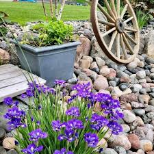 35 Best Landscaping Ideas With Rocks In